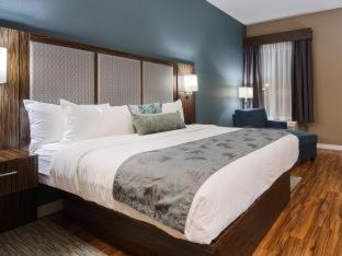 Western Inn&suites Hotel